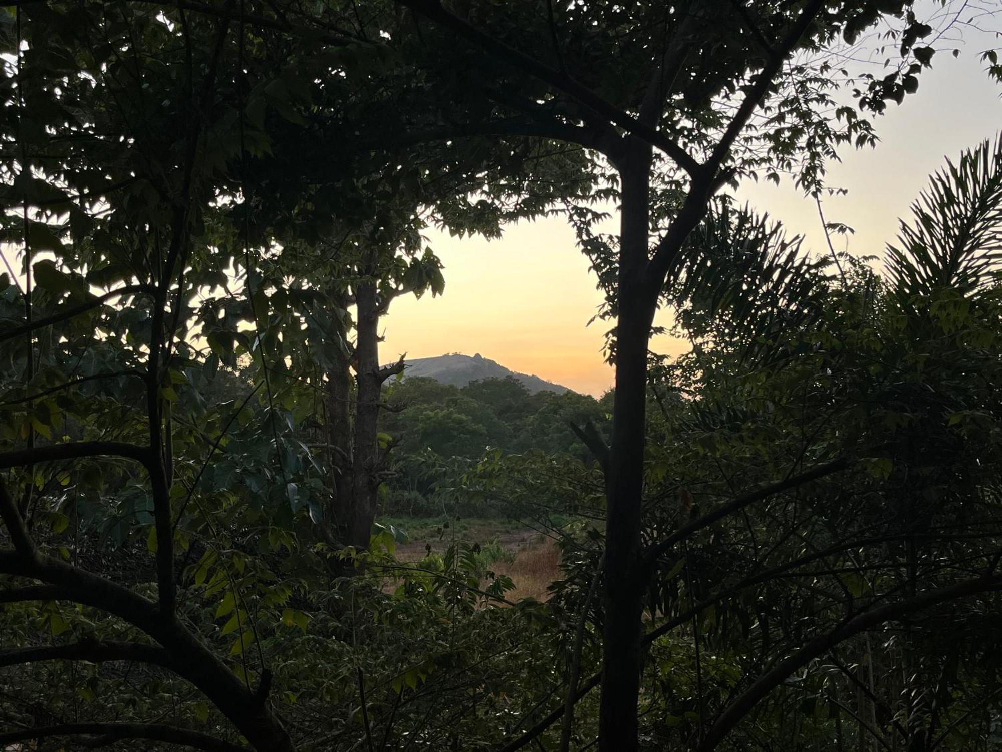 Sigiriya Rock Gate Resort エクステリア 写真
