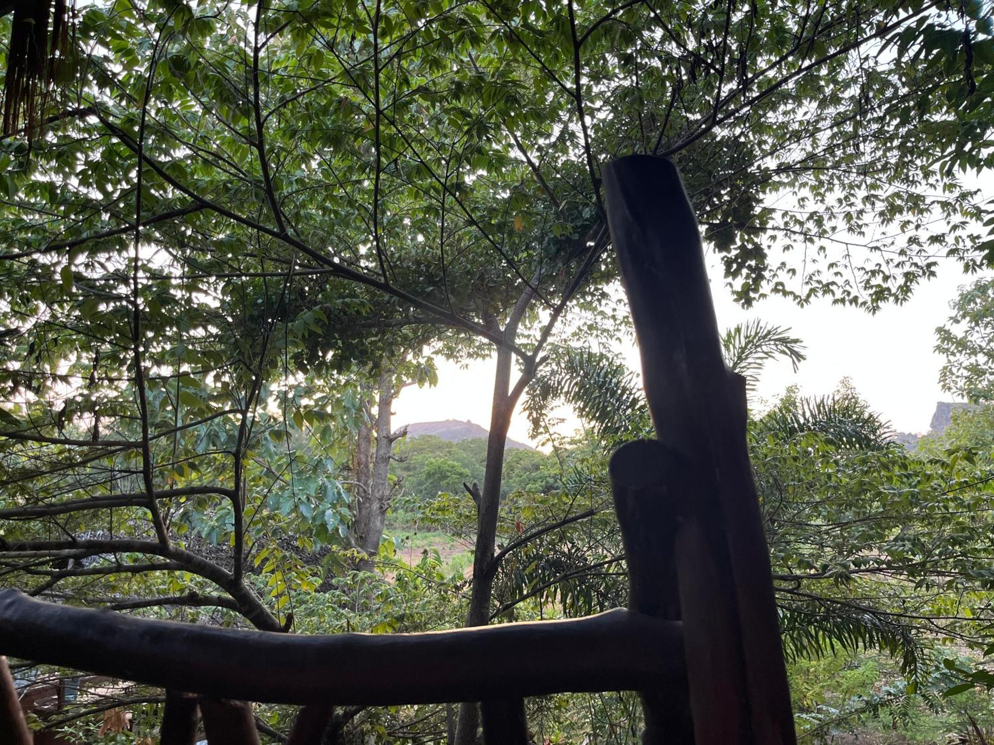 Sigiriya Rock Gate Resort エクステリア 写真