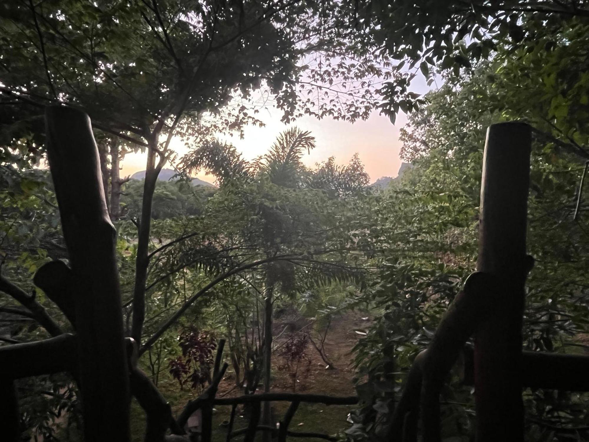 Sigiriya Rock Gate Resort エクステリア 写真
