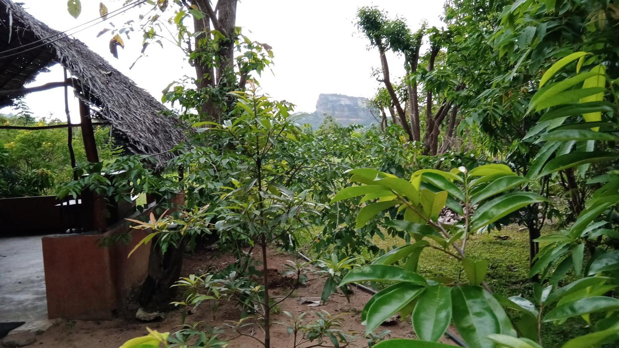Sigiriya Rock Gate Resort エクステリア 写真