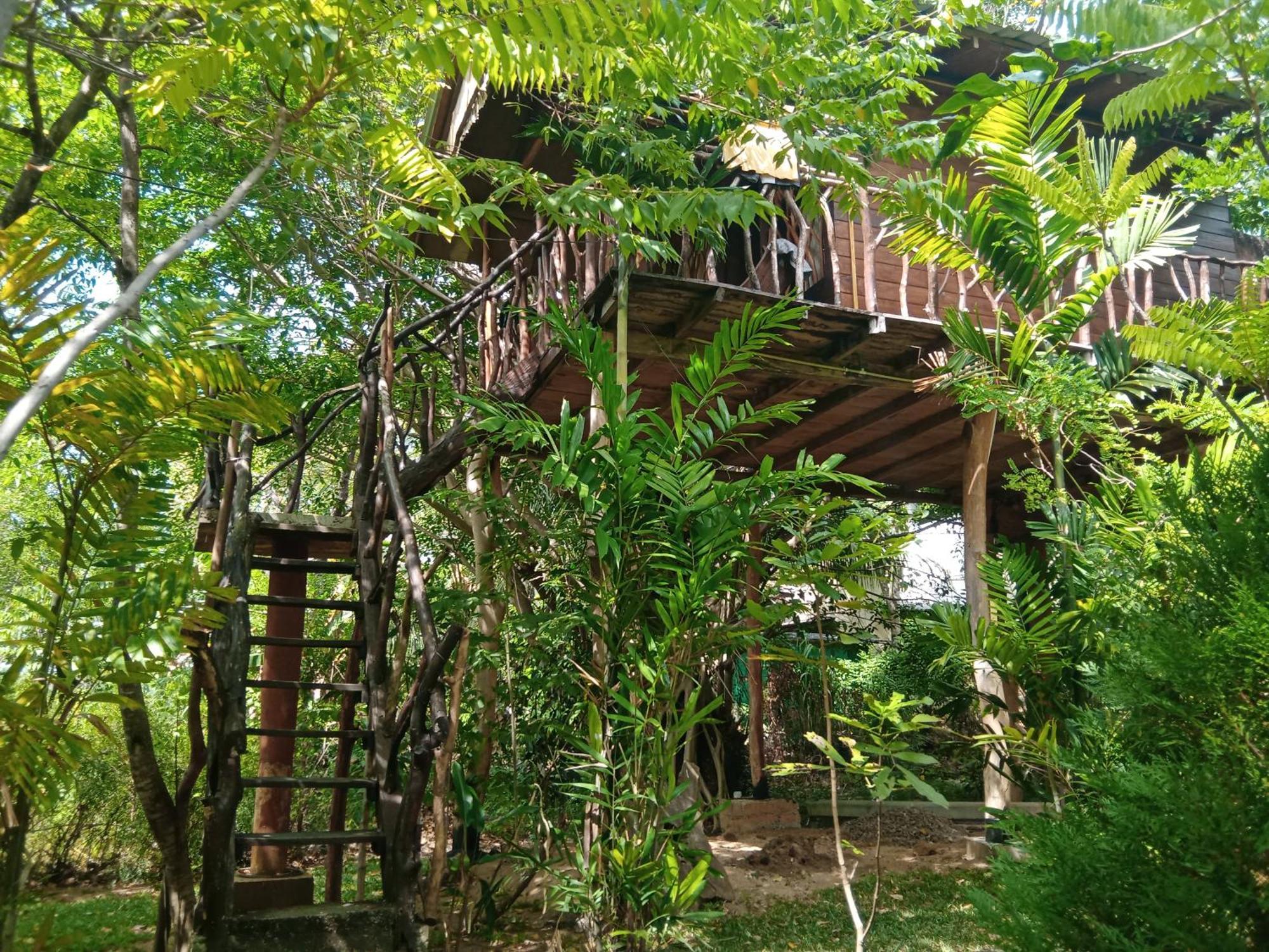 Sigiriya Rock Gate Resort エクステリア 写真