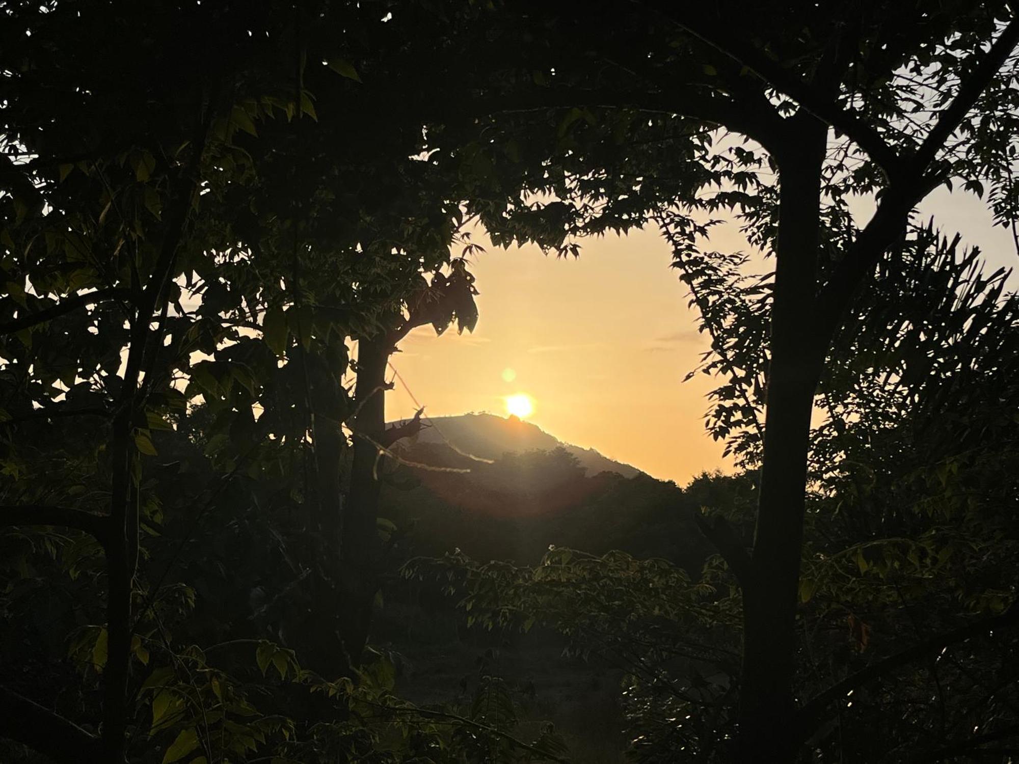 Sigiriya Rock Gate Resort エクステリア 写真