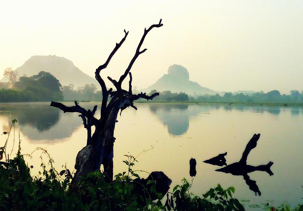 Sigiriya Rock Gate Resort エクステリア 写真