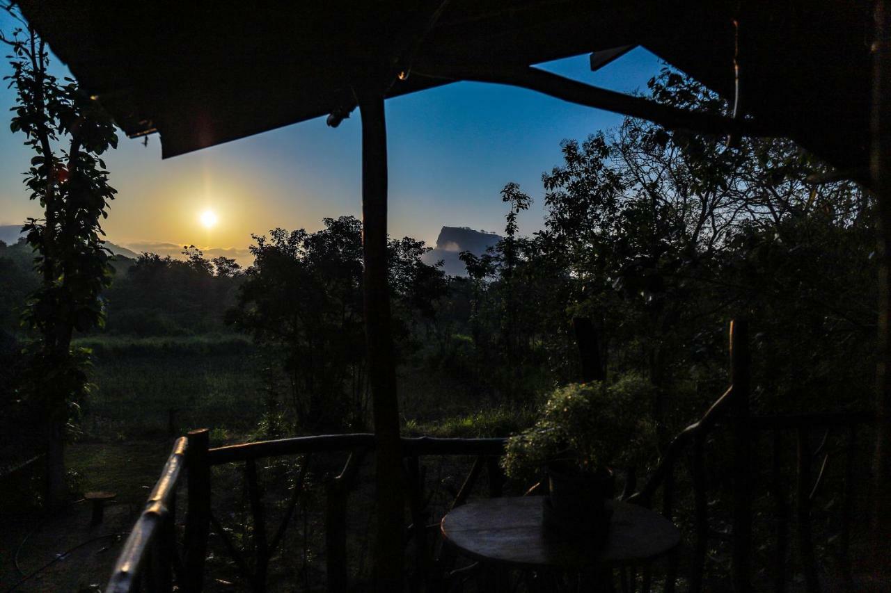 Sigiriya Rock Gate Resort エクステリア 写真